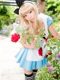 cosplay套图 c78 NECOCO.in.Wonderland(19)